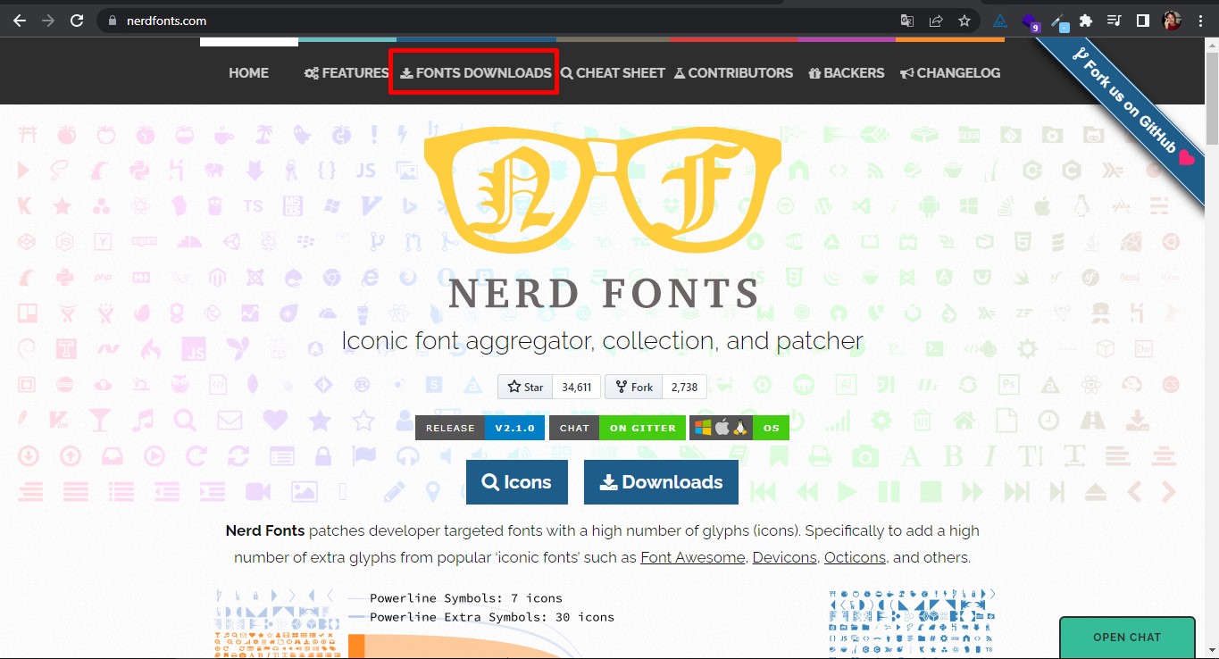 nerdfonts downloads