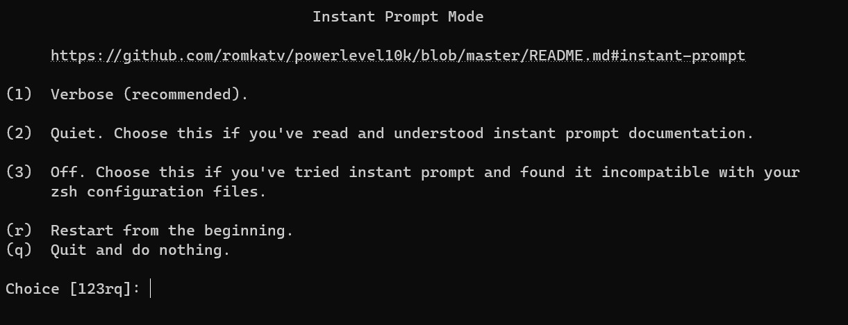 prompt mode