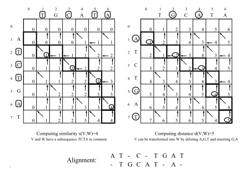 Local-GlobalAlignment.PNG