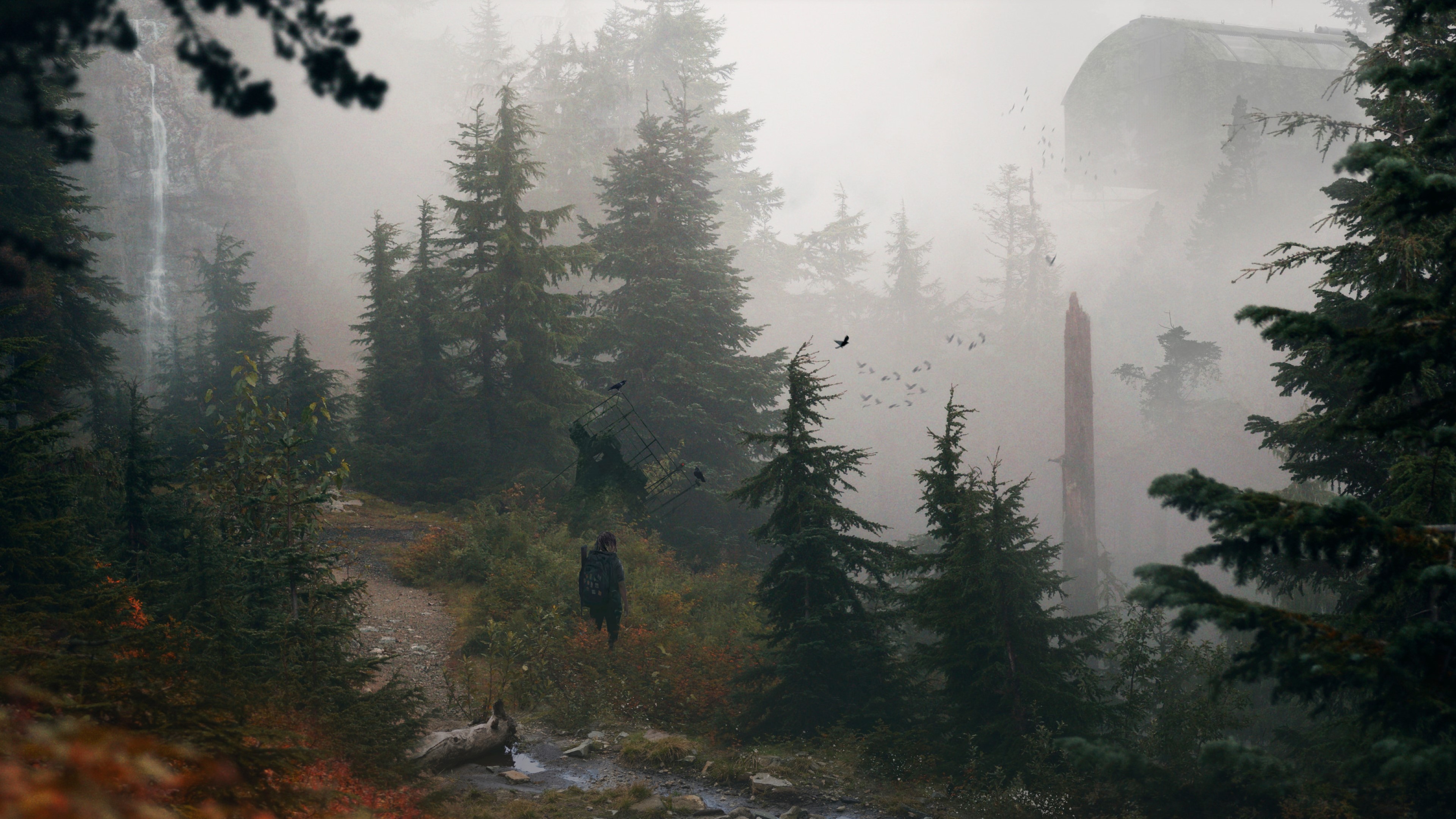 foggy-wilderness-(4K).jpg