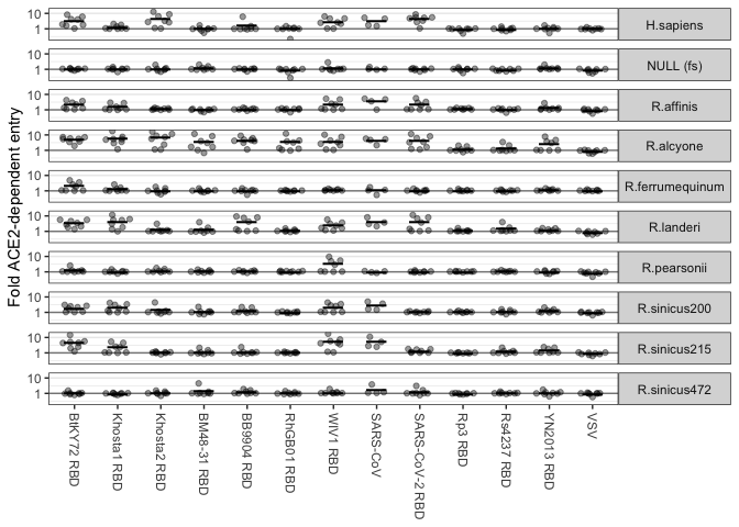 Matrix of bat ACE2 ortholog cells infected by various SARS-like CoV RBDs using microscopy-1.png