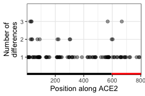 See which parts of the ACE2 linear sequence is more diverse-1.png