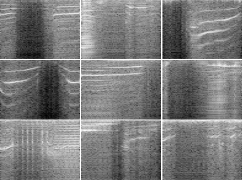 kittens_gen_random_spectrogram.png