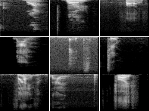 sc09_random_spectrogram.png