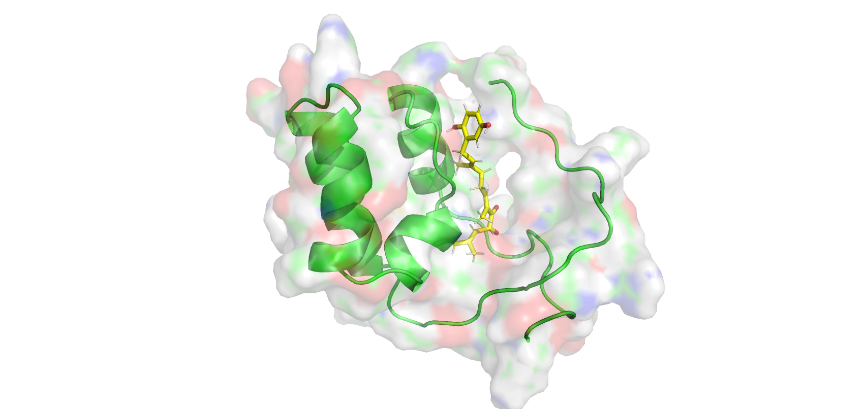 PyMol representation of extracted frame1 from the trajectory