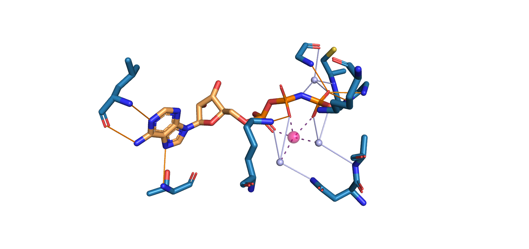 PLIP PyMol output of ANP ligand interactions with [1GS5](https://www.rcsb.org/structure/1gs5). A protein that I widely studied during my [PhD](https://www.tesisenred.net/bitstream/handle/10803/288044/MSM_PhD_THESIS.pdf?sequence=6&isAllowed=y)