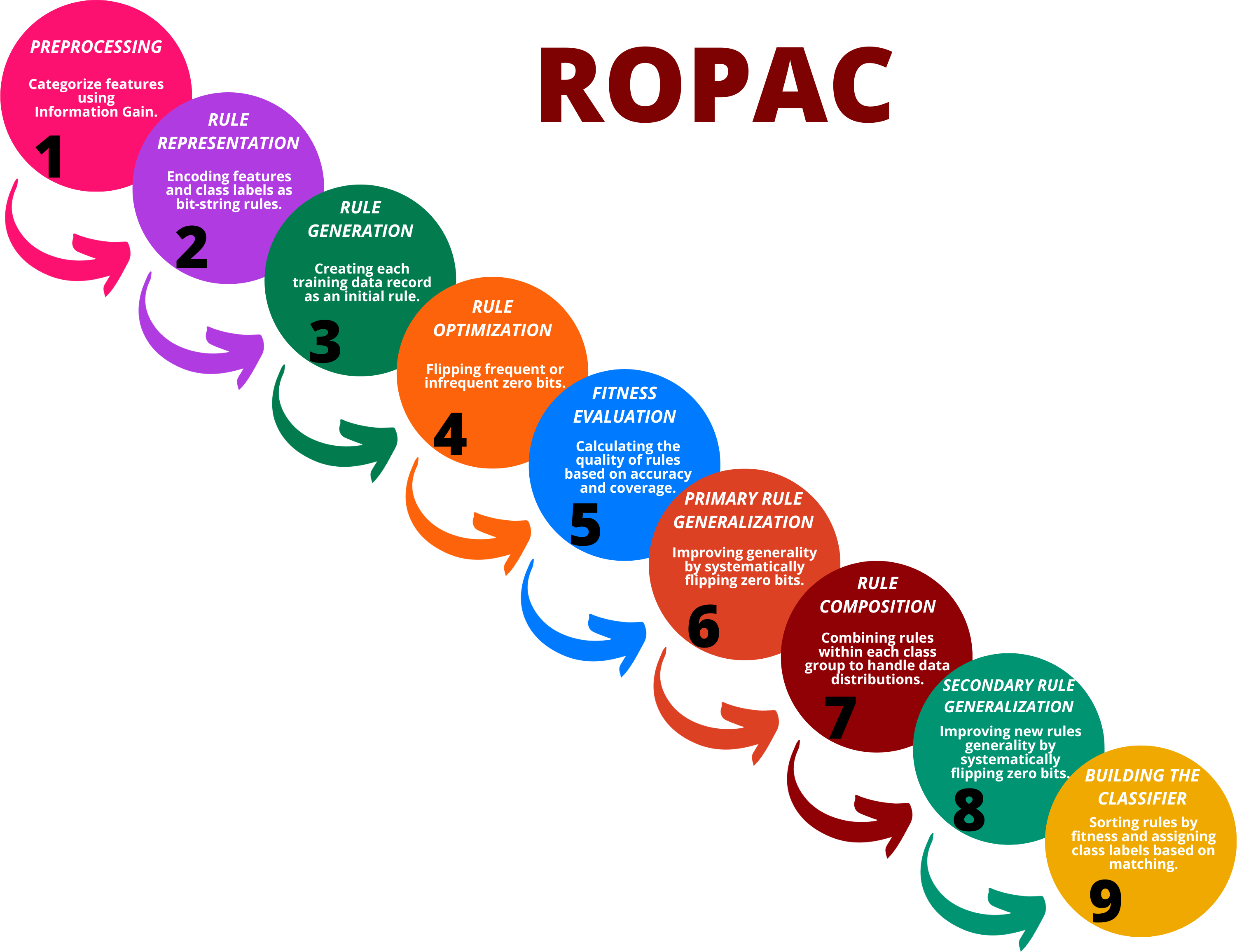 ROPAC_FlowDiagram.png
