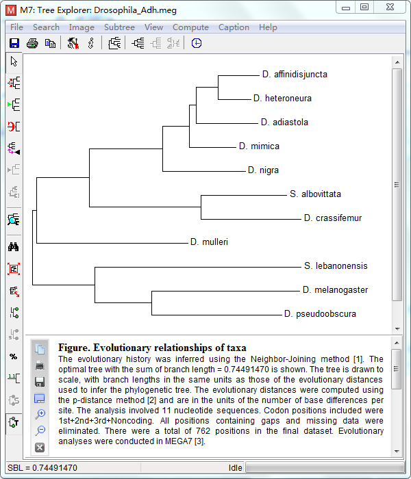 Phylogenesis-MEGA7-view-tree.png