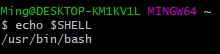 echo-shell-git-bash.jpeg