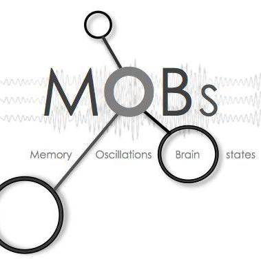 MobsLab
