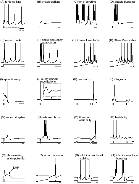 izh2003.gif