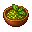 Basil Paste