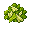 Cut Lettuce