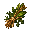 Dried Herbs