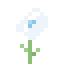 Cloudbloom