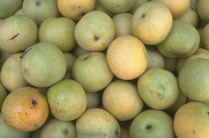 pears.png