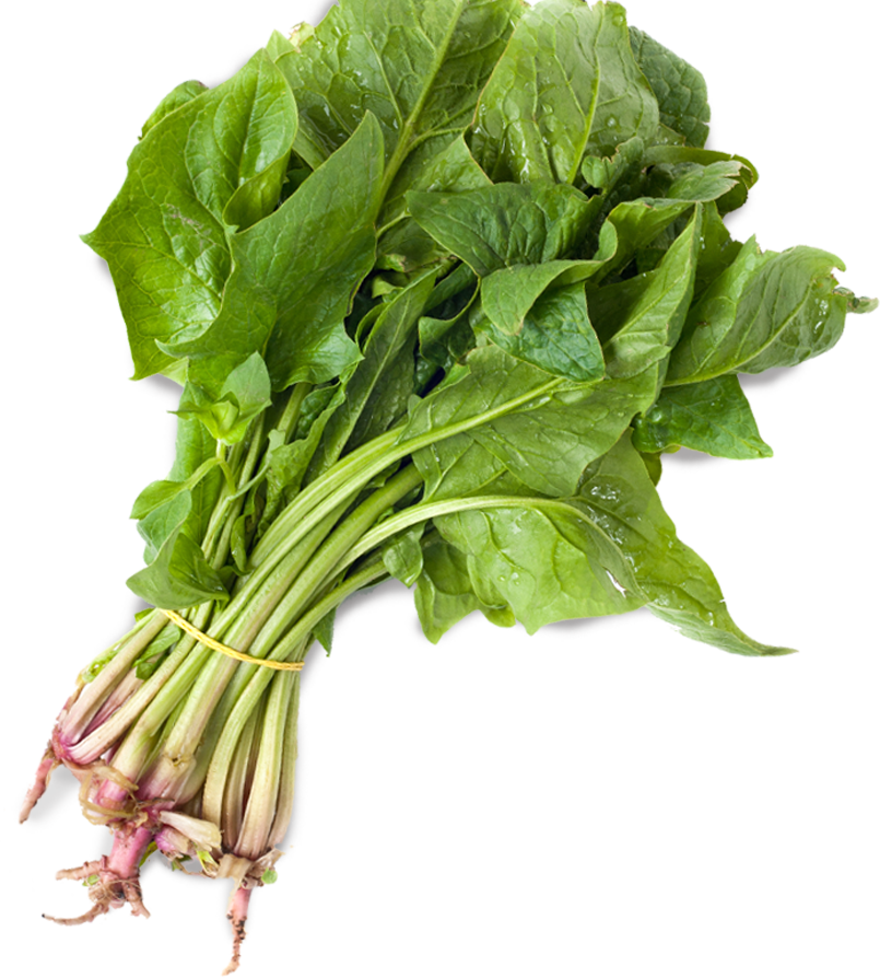 spinach-leaf.png