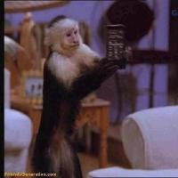 MonkeyMarcel