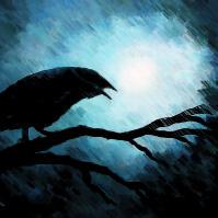 gravatar for Moon-Raven
