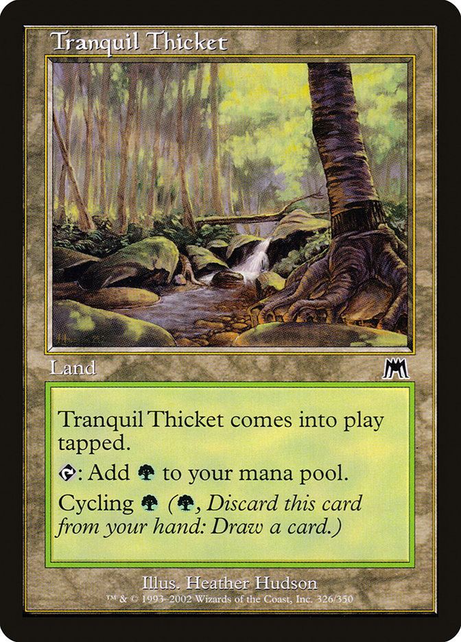 tranquil-thicket.jpg