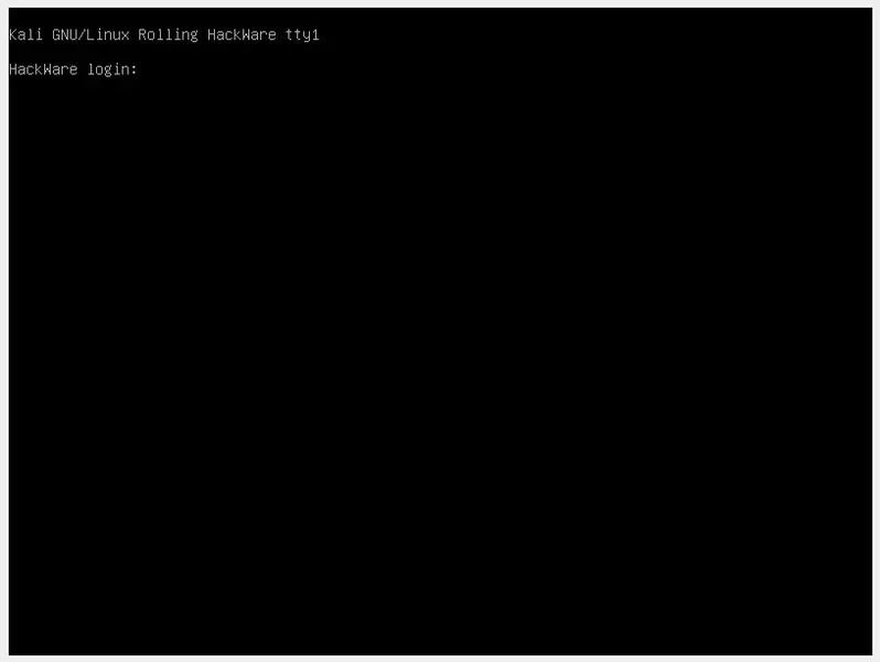 Terminal virtual (tty1)
