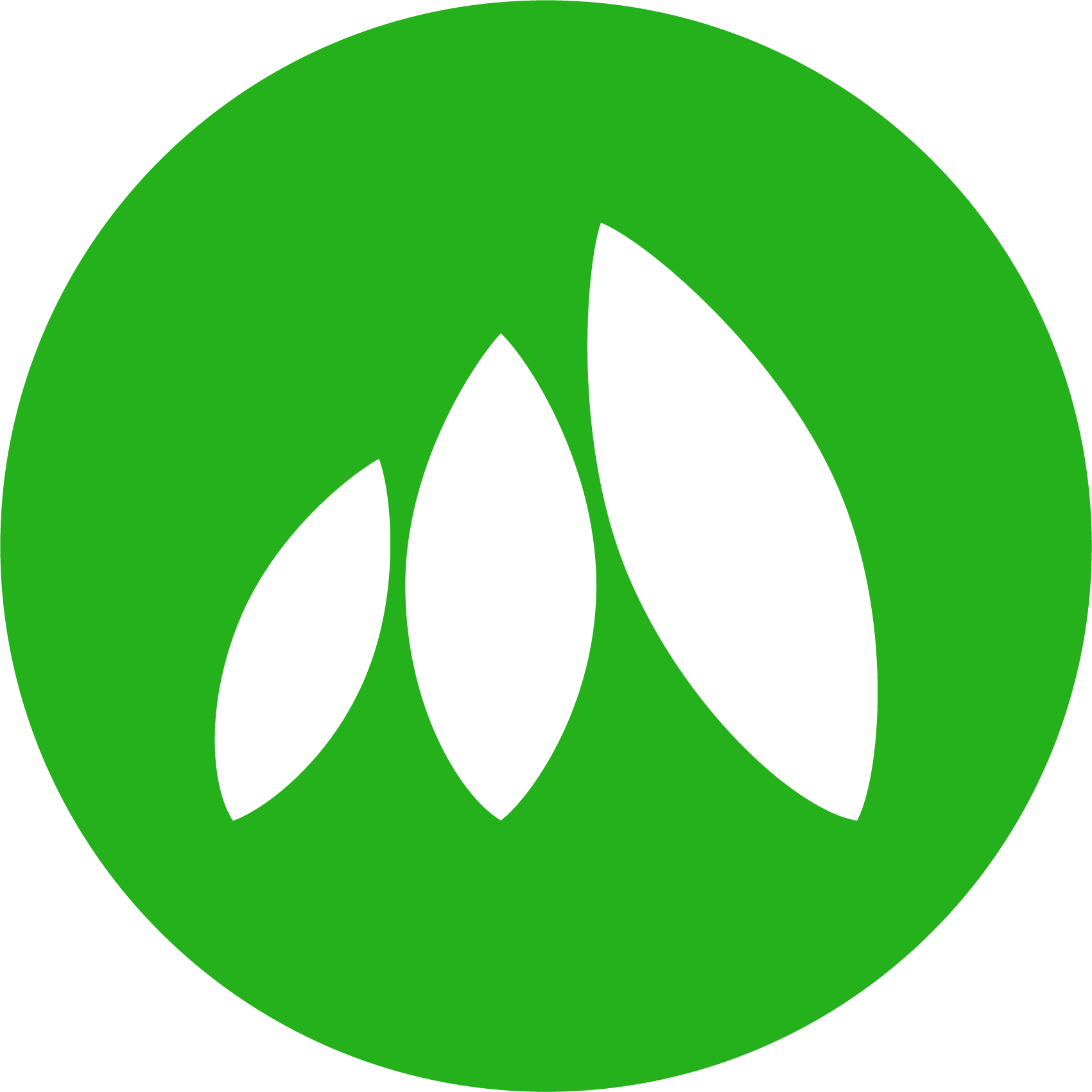 mynth-logo.png