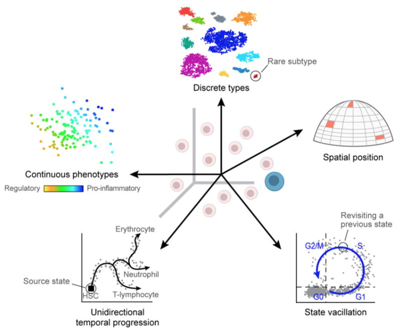 sc_biol_variability.png