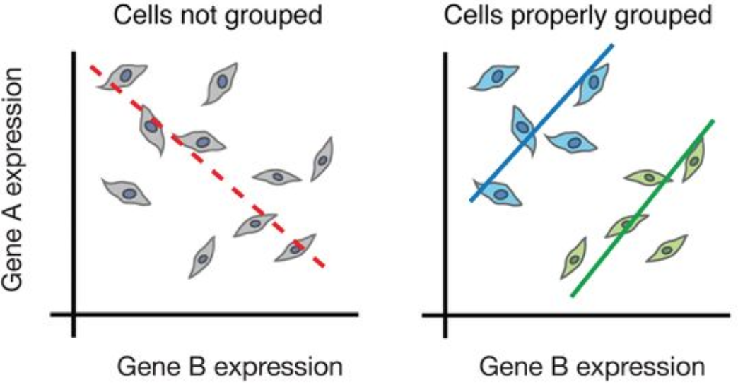 sc_vs_bulk_cells.png