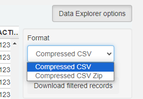 Data Explorer options