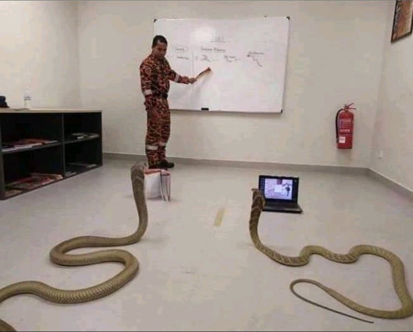 learning_python.jpeg