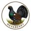 Nevaberry avatar