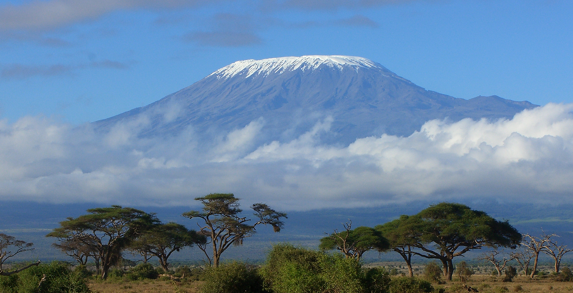 cropMount-Kilimanjaro.jpg