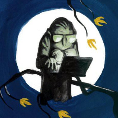 NightOwlCoder