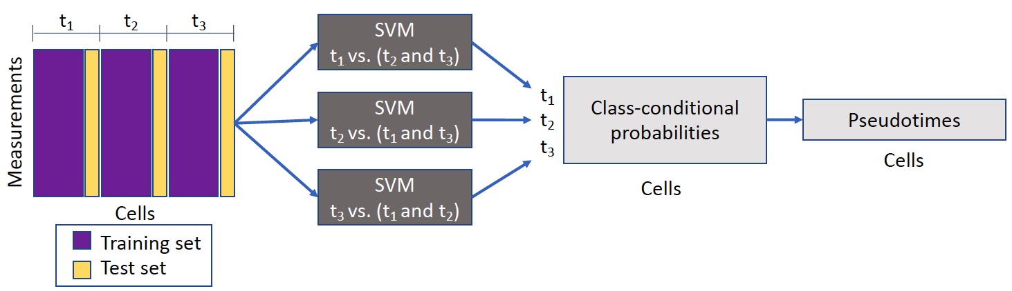 sceptic-schematic.jpg