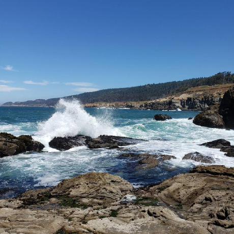 NormallyGaussian avatar