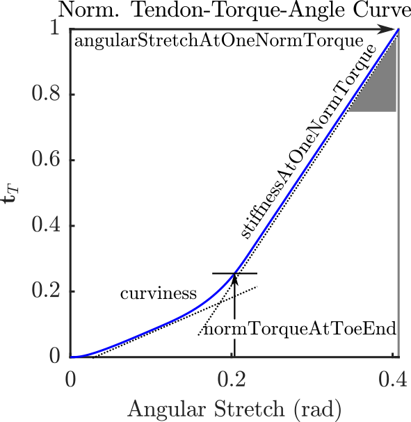 fig_MuscleAddon_TorqueMuscleFunctionFactory_TendonTorqueAngleCurve.png