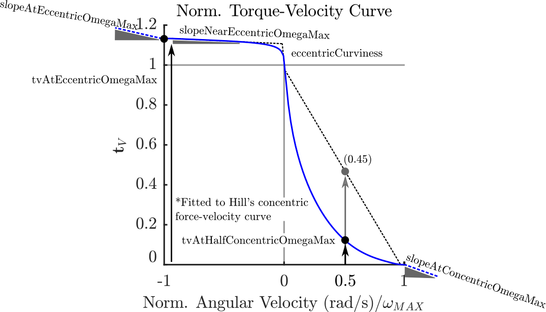 fig_MuscleAddon_TorqueMuscleFunctionFactory_TorqueVelocityCurve.png
