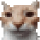 OSO-CodeProject