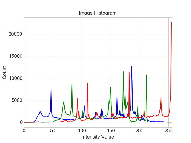 image_histogram.png