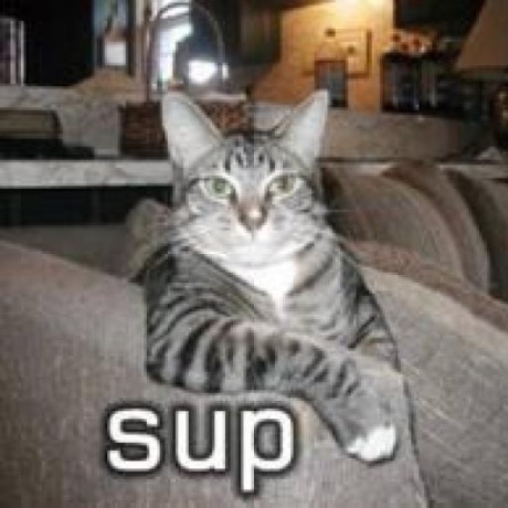 discusser-avatar