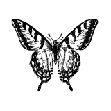 OliverGrabner