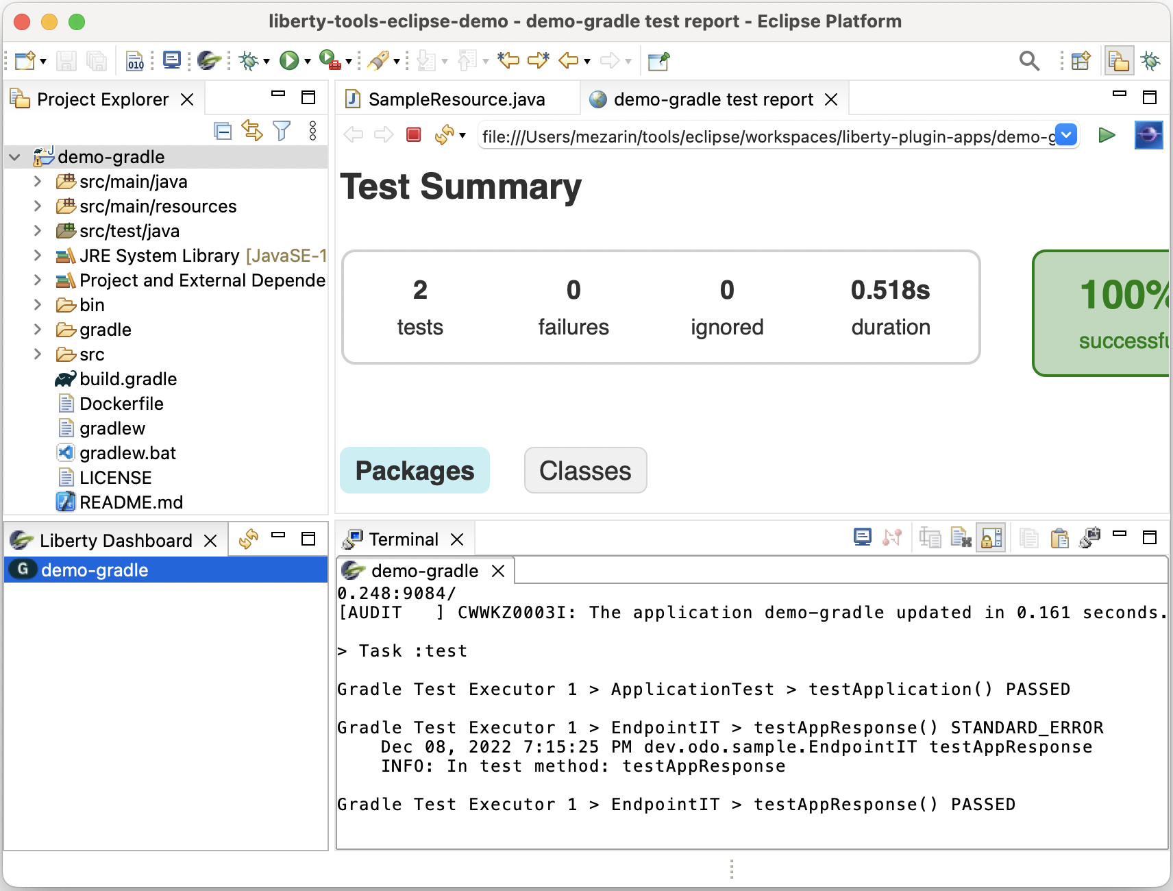 gradle-devModeTestReportShown.png