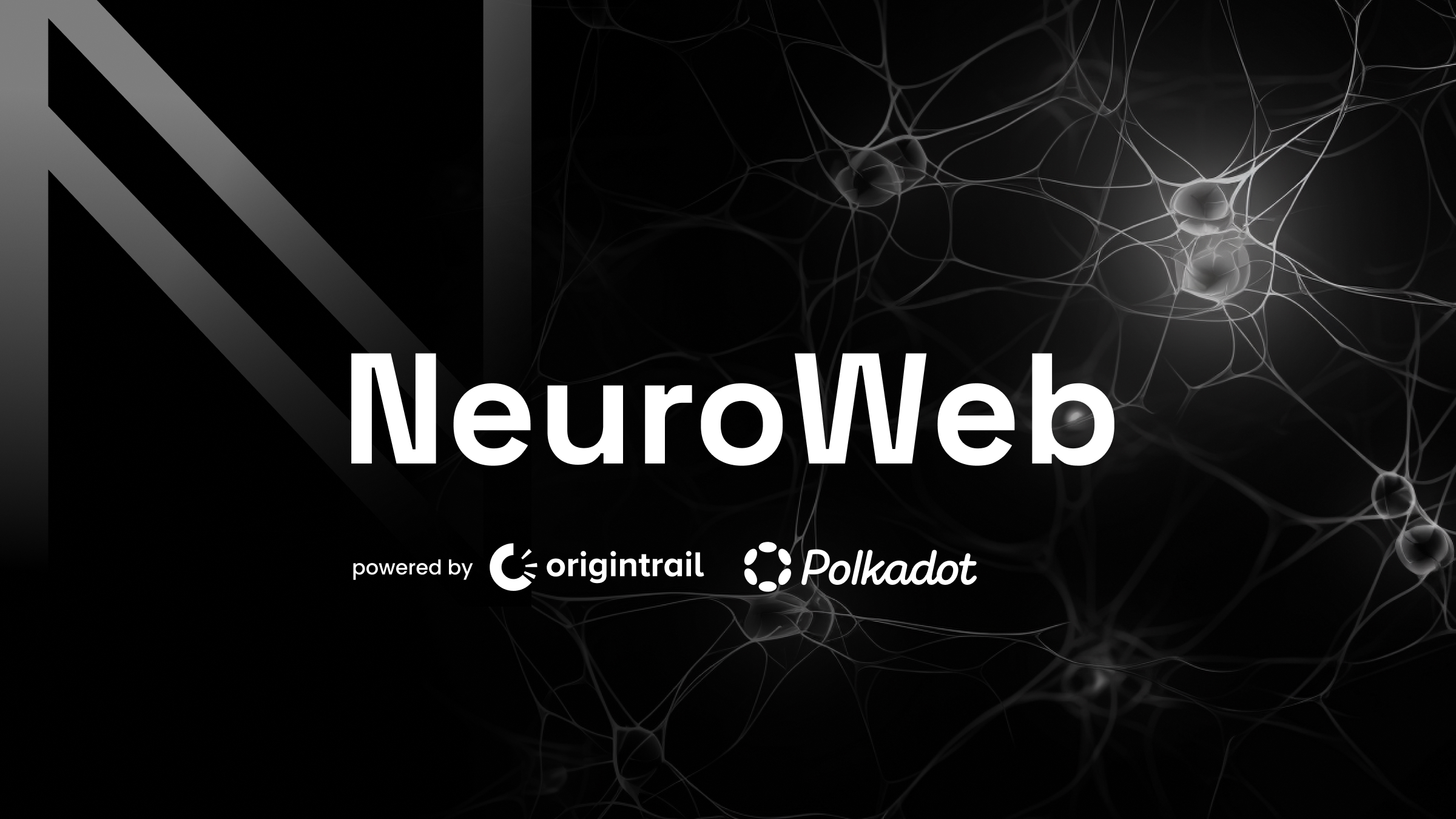 NeuroWeb X visual (1).jpg