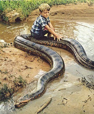 Boy-and-Anaconda.jpg