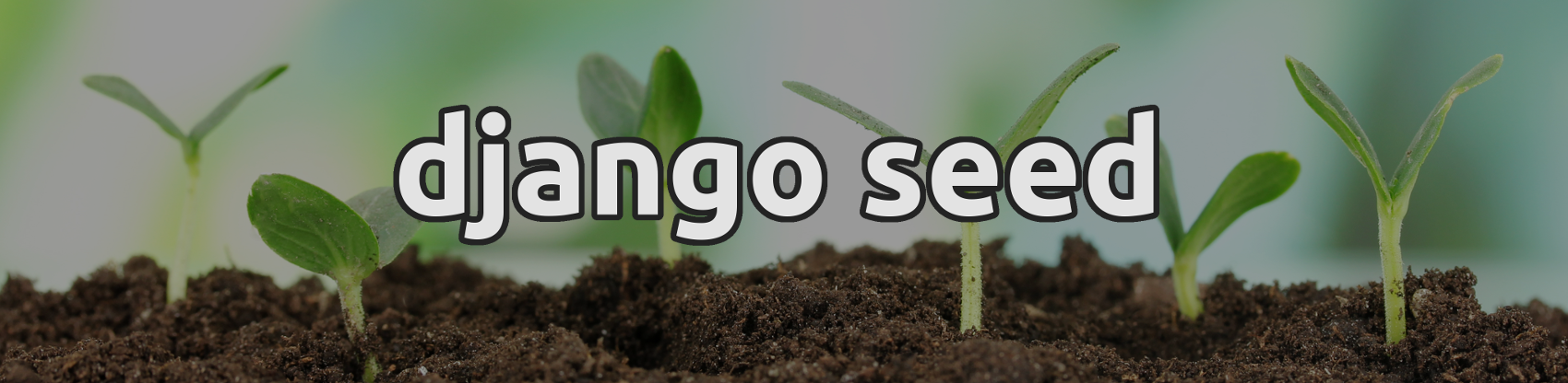 django_seed.png