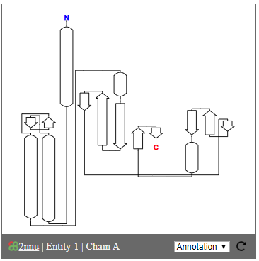 pdb-topology-viewer.png