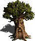 Tree of Knowledge - rough