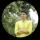 Parthnagar24