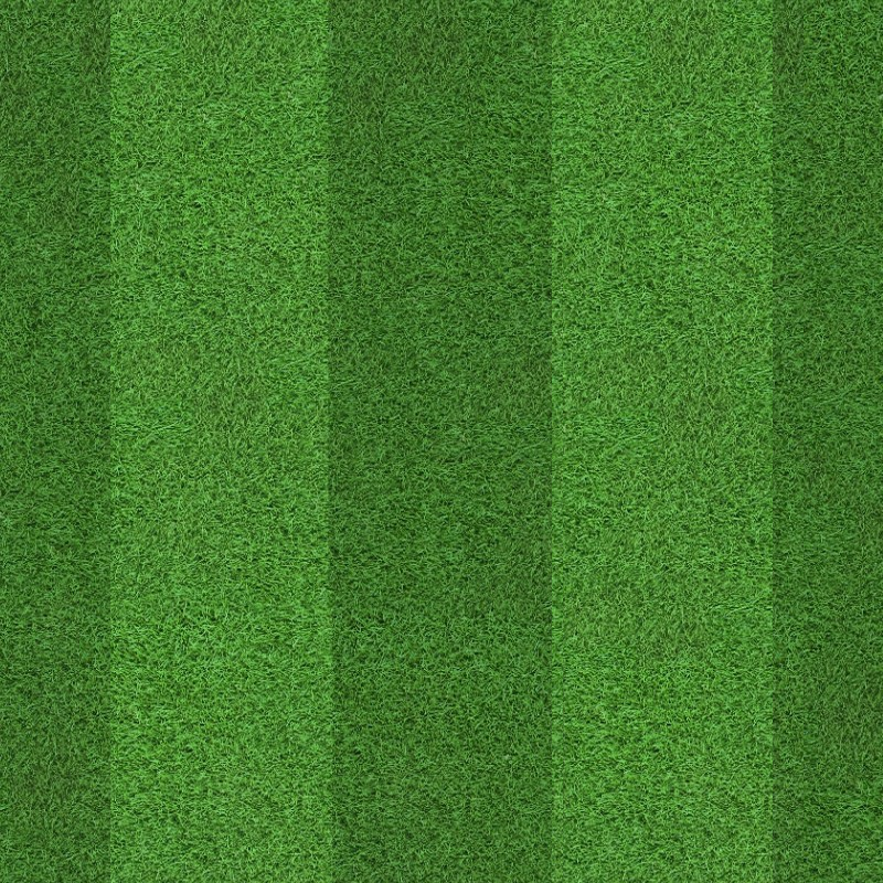 texture_herbe.png