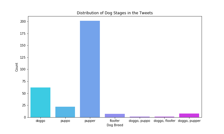 Distribution of Dog Stages.png